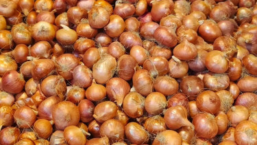 Bangladesh’s overheated onion market costs consumers Tk3.5cr more every day
