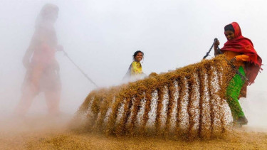 Bangladesh’s Tanveer Rohan wins Doha Photography Award 2025