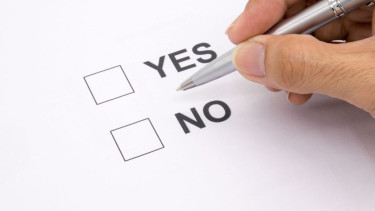 One vote on 4 points could confuse voters, warn experts