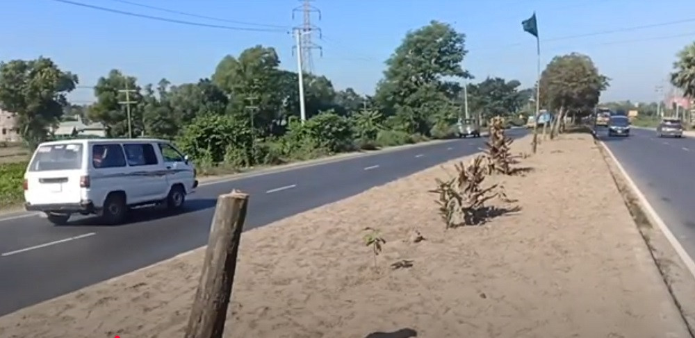 Man held for felling 50 Bakul trees on Dhaka-Chattogram highway
