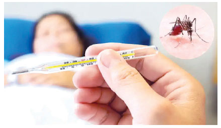 Dengue’s Deadly Grip Demands Healthcare Equality